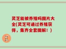 灵芝能被养殖吗图片大全(灵芝可通过养殖获得，集齐全套图解！)