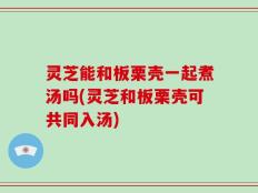 灵芝能和板栗壳一起煮汤吗(灵芝和板栗壳可共同入汤)