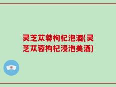 灵芝苁蓉枸杞泡酒(灵芝苁蓉枸杞浸泡美酒)