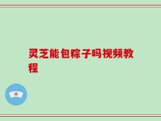 灵芝能包粽子吗视频教程