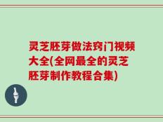 灵芝胚芽做法窍门视频大全(全网最全的灵芝胚芽制作教程合集)