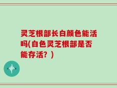 灵芝根部长白颜色能活吗(白色灵芝根部是否能存活？)