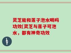 灵芝能和莲子泡水喝吗功效(灵芝与莲子可泡水，都有神奇功效
