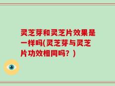 灵芝芽和灵芝片效果是一样吗(灵芝芽与灵芝片功效相同吗？)