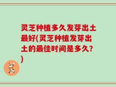 灵芝种植多久发芽出土最好(灵芝种植发芽出土的最佳时间是多久？)