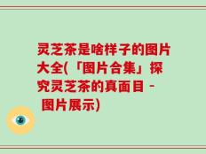 灵芝茶是啥样子的图片大全(「图片合集」探究灵芝茶的真面目 - 图片展示)