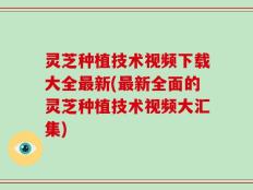 灵芝种植技术视频下载大全最新(最新全面的灵芝种植技术视频大汇集)