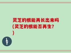 灵芝的根能再长出来吗(灵芝的根能否再生？)