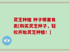 灵芝种植 种子哪里有卖(购买灵芝种子，轻松开始灵芝种植！)