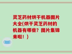 灵芝药材烘干机器图片大全(烘干灵芝药材的机器有哪些？图片集锦来啦！)
