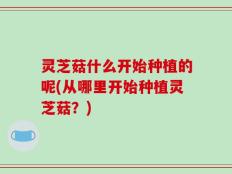 灵芝菇什么开始种植的呢(从哪里开始种植灵芝菇？)