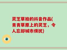 灵芝草拍的抖音作品(青青草原上的灵芝，令人忘却城市烦扰)