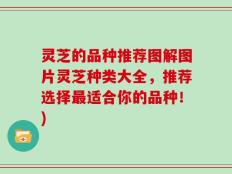 灵芝的品种推荐图解图片灵芝种类大全，推荐选择最适合你的品种！)
