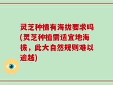 灵芝种植有海拔要求吗(灵芝种植需适宜地海拔，此大自然规则难以逾越)