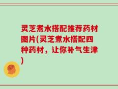 灵芝煮水搭配推荐药材图片(灵芝煮水搭配四种药材，让你补气生津)