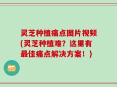 灵芝种植痛点图片视频(灵芝种植难？这里有最佳痛点解决方案！)