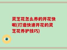 灵芝花怎么养的开花快呢(打造快速开花的灵芝花养护技巧)