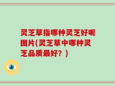 灵芝草指哪种灵芝好呢图片(灵芝草中哪种灵芝品质最好？)
