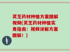 灵芝药材种植方案图解视频(灵芝药材种植实用指南：视频详解方案图解！)