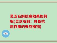 灵芝石斛抗癌效果如何呢(灵芝石斛：具备抗癌作用的天然植物)