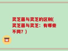 灵芝菌与灵芝的区别(灵芝菌与灵芝：有哪些不同？)