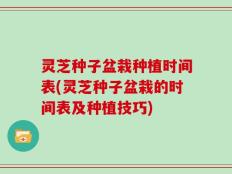 灵芝种子盆栽种植时间表(灵芝种子盆栽的时间表及种植技巧)