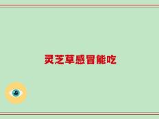 灵芝草感冒能吃