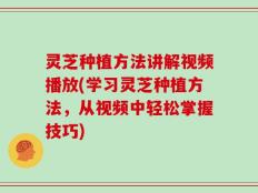 灵芝种植方法讲解视频播放(学习灵芝种植方法，从视频中轻松掌握技巧)