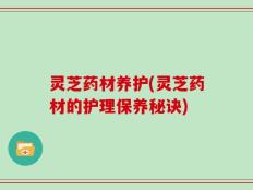 灵芝药材养护(灵芝药材的护理保养秘诀)