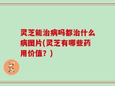 灵芝能治病吗都治什么病图片(灵芝有哪些药用价值？)