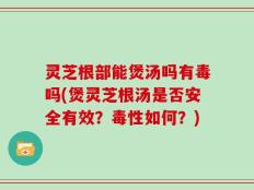 灵芝根部能煲汤吗有毒吗(煲灵芝根汤是否安全有效？毒性如何？)