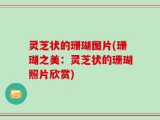 灵芝状的珊瑚图片(珊瑚之美：灵芝状的珊瑚照片欣赏)