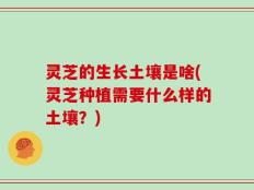 灵芝的生长土壤是啥(灵芝种植需要什么样的土壤？)