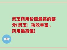 灵芝药用价值最高的部分(灵芝：功效丰富，药用最高值)