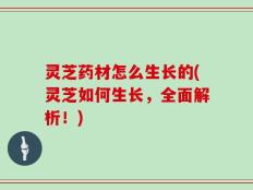 灵芝药材怎么生长的(灵芝如何生长，全面解析！)
