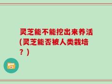 灵芝能不能挖出来养活(灵芝能否被人类栽培？)