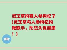 灵芝草拘鞭人参枸杞子(灵芝草与人参枸杞拘鞭联手，助您久保健康！)