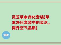 灵芝草本净化套装(草本净化套装中的灵芝，提升空气品质)