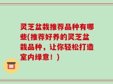 灵芝盆栽推荐品种有哪些(推荐好养的灵芝盆栽品种，让你轻松打造室内绿意！)