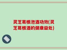 灵芝葛根泡酒功效(灵芝葛根酒的健康益处)
