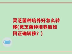 灵芝菌种培养好怎么转移(灵芝菌种培养后如何正确转移？)