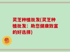 灵芝种植批发(灵芝种植批发：助您健康致富的好选择)
