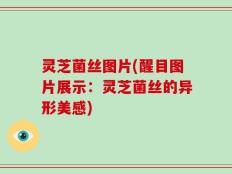灵芝菌丝图片(醒目图片展示：灵芝菌丝的异形美感)