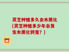 灵芝种植多久会木质化(灵芝种植多少年会发生木质化转变？)
