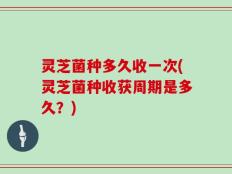 灵芝菌种多久收一次(灵芝菌种收获周期是多久？)