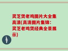 灵芝煲老鸡图片大全集高清(高清图片集锦：灵芝老鸡煲经典全景展示)