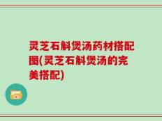 灵芝石斛煲汤药材搭配图(灵芝石斛煲汤的完美搭配)