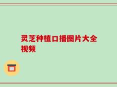 灵芝种植口播图片大全视频