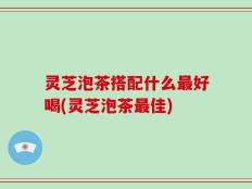灵芝泡茶搭配什么最好喝(灵芝泡茶最佳)