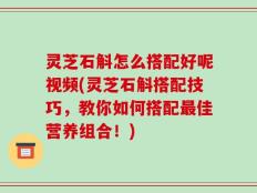 灵芝石斛怎么搭配好呢视频(灵芝石斛搭配技巧，教你如何搭配最佳营养组合！)